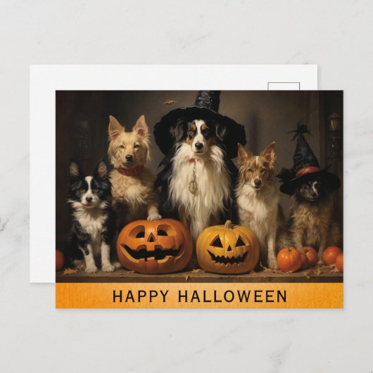 Halloween Niedlicher Hund Hexenkürbis Postkarte (Vorne/Hinten)