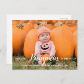 Halloween Niedlicher Kürbis Feiertagspostkarte (Vorne/Hinten)