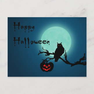 Halloween Night Pumpkin Owl Postkarte