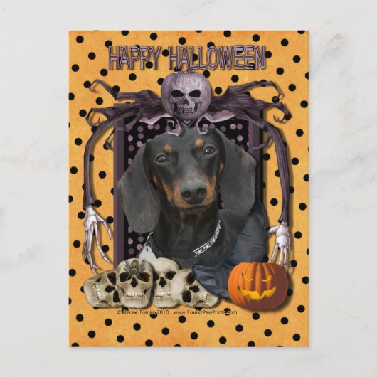 Halloween Nightmare - Dackel - Winston Postkarte (Vorderseite)