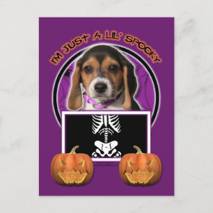 Halloween - Nur ein kleiner Spooky - Beagle Postkarte