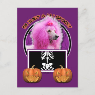 Halloween - Nur ein kleiner Spooky - Poodle - Pink Postkarte