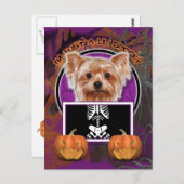 Halloween - Nur ein kleiner Spooky - Yorkie Postkarte (Vorne/Hinten)