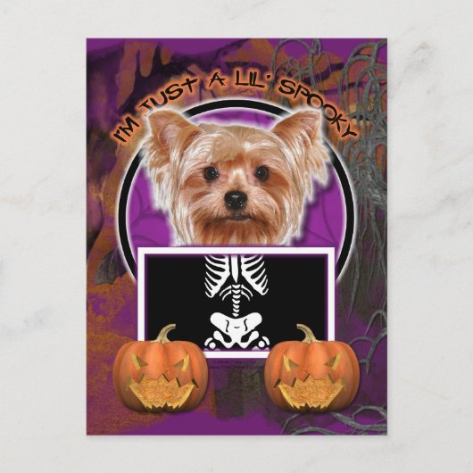 Halloween - Nur ein kleiner Spooky - Yorkie Postkarte (Vorderseite)
