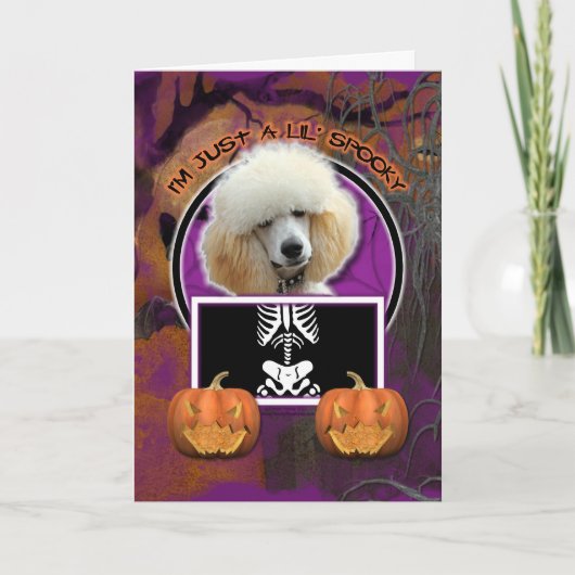 Halloween - nur eine kleine Spooky - Poodle - Apri Karte (Vorderseite)