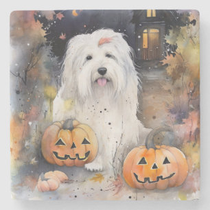 Halloween Old English Sheepdog mit Pumpkins Beängs Steinuntersetzer