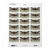 Halloween Orange ID685 Adressaufkleber (Vorne)