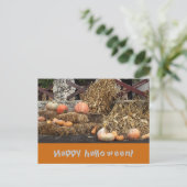 Halloween Orange Pumkin rustikal Postkarte (Stehend Vorderseite)