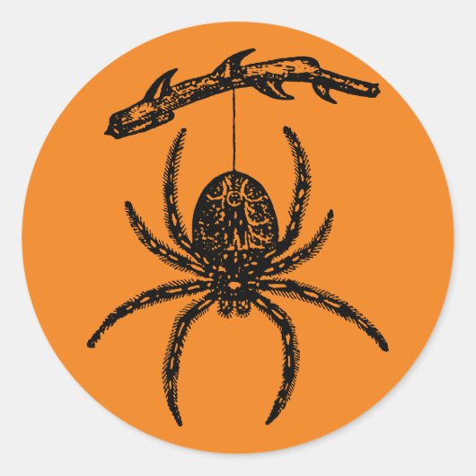 Halloween Orange Spider Classic Round Sticker (Vorderseite)