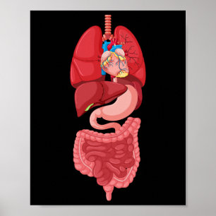 Halloween Organdiagramm Anatomie Poster