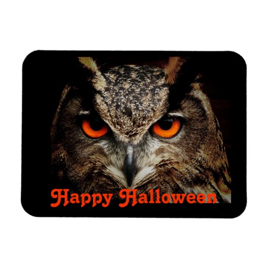 Halloween Owl Magnet (Horizontal)