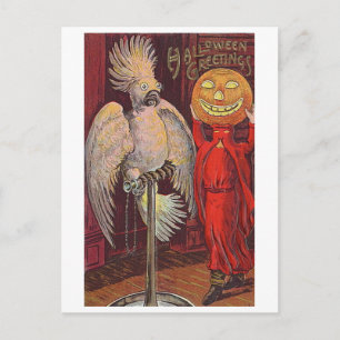 Halloween-Papagei und Kürbis Postkarte