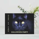 Halloween-Party Beängstigend Black Cat Horror Nigh Einladung (Stehend Vorderseite)