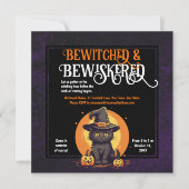 Halloween-Party Cat Niedlich Kitten in Hexenhut Einladung (Vorderseite)