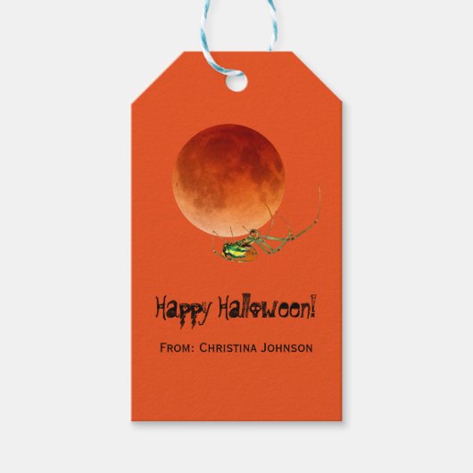 Halloween-Party-Favoriten des grauen Spiders Geschenkanhänger (Vorderseite)