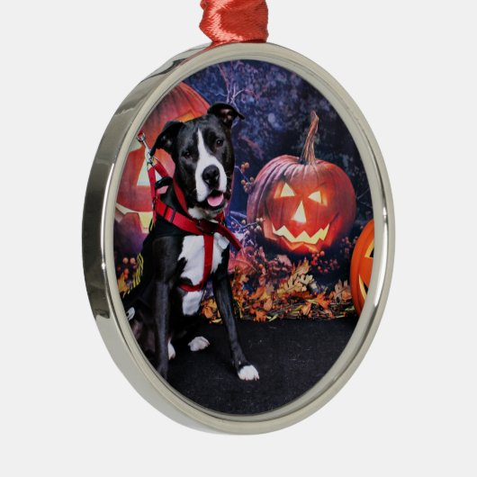 Halloween - Pitbull - Loki Silbernes Ornament (Rechts)