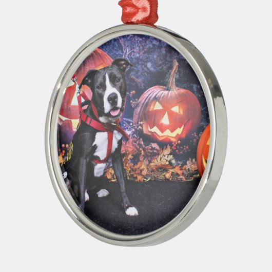 Halloween - Pitbull - Loki Silbernes Ornament (Links)