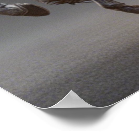 Halloween Poster (Ecke)