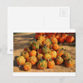 Halloween Postkarte (Vorne/Hinten)
