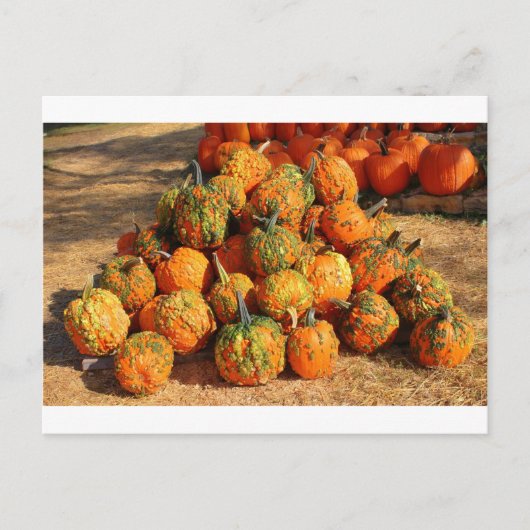 Halloween Postkarte (Vorderseite)