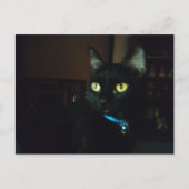 Halloween Postkarte (Vorderseite)