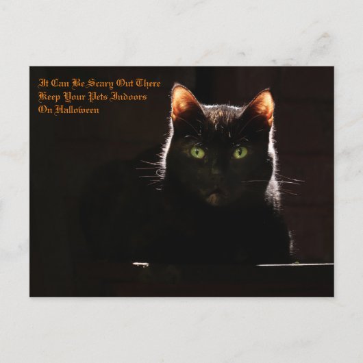 Halloween Postkarte (Vorderseite)