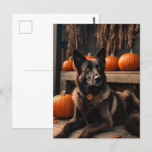 Halloween Postkarte