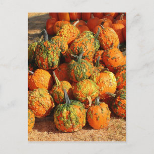 Halloween Postkarte