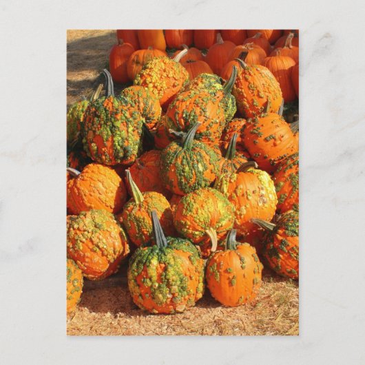 Halloween Postkarte (Vorderseite)
