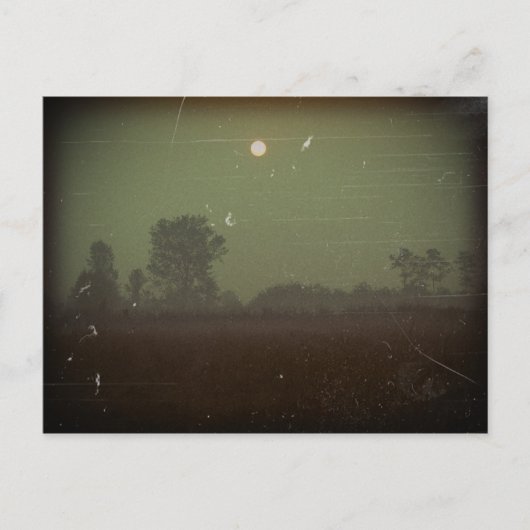 Halloween Postkarte (Vorderseite)