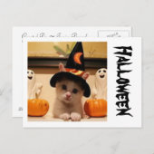 Halloween-Postkarte Postkarte (Vorne/Hinten)