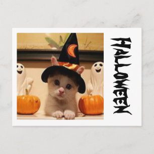 Halloween-Postkarte Postkarte