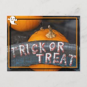 Halloween-Postkarte "Trick or Treat" Postkarte