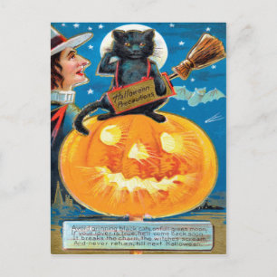 Hallowe'en Precautions Postkarte