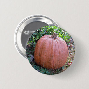 Halloween Pumpkin Button