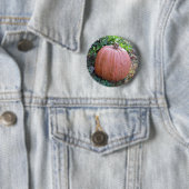 Halloween Pumpkin Button (Beispiel)