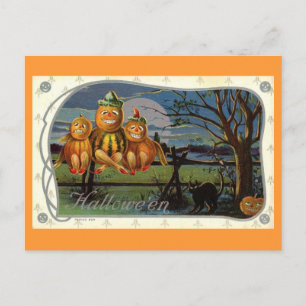 Halloween Pumpkin Men Fantasy Vintag Postkarte