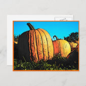 Halloween Pumpkin Patch tagsüber Postkarte (Vorne/Hinten)