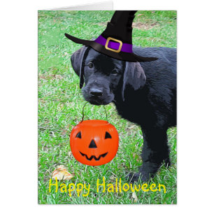 Halloween Pumpkin Puppy - Schwarzes Labor