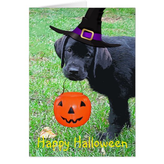 Halloween Pumpkin Puppy - Schwarzes Labor (Vorne)