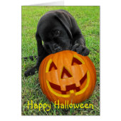 Halloween Pumpkin Puppy - Schwarzes Labor (Vorne)