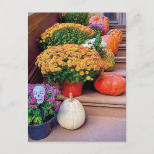 Halloween Pumpkin Treairs New York Postcard Postkarte