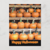 Halloween Pumpkin Wall Postkarte (Vorderseite)