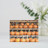 Halloween Pumpkin Wall Postkarte (Stehend Vorderseite)