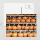 Halloween Pumpkin Wall Postkarte (Vorne/Hinten)