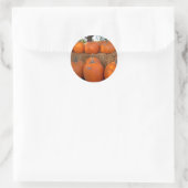 Halloween Pumpkins Runder Aufkleber (Tasche)