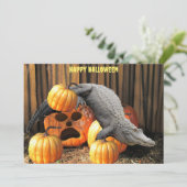 Halloween Pumpkins und Gator (Stehend Vorderseite)