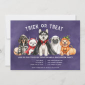 Halloween Puppies Trick oder Treat Party Einladung (Vorderseite)
