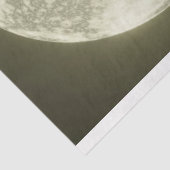 Halloween Raccoon 2 Decoupage Paper Seidenpapier (Ausschnitt)