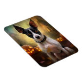 Halloween Rat Terrier mit Pumpkins Beängstigend Magnet (Rechte Seite)